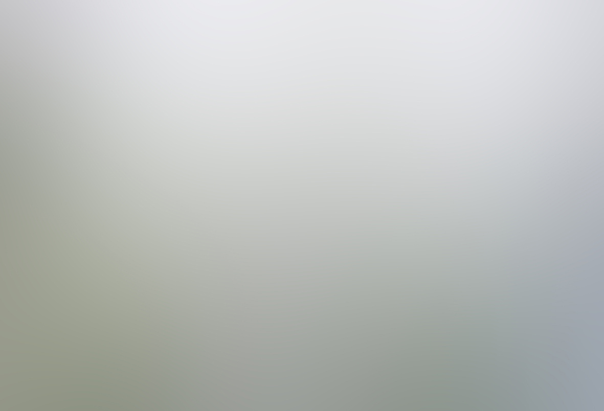 Light Grey Background